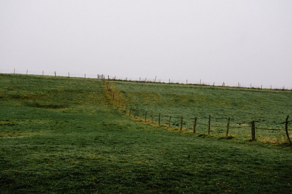 A green pasture with a wooden fence under a cloudy sky