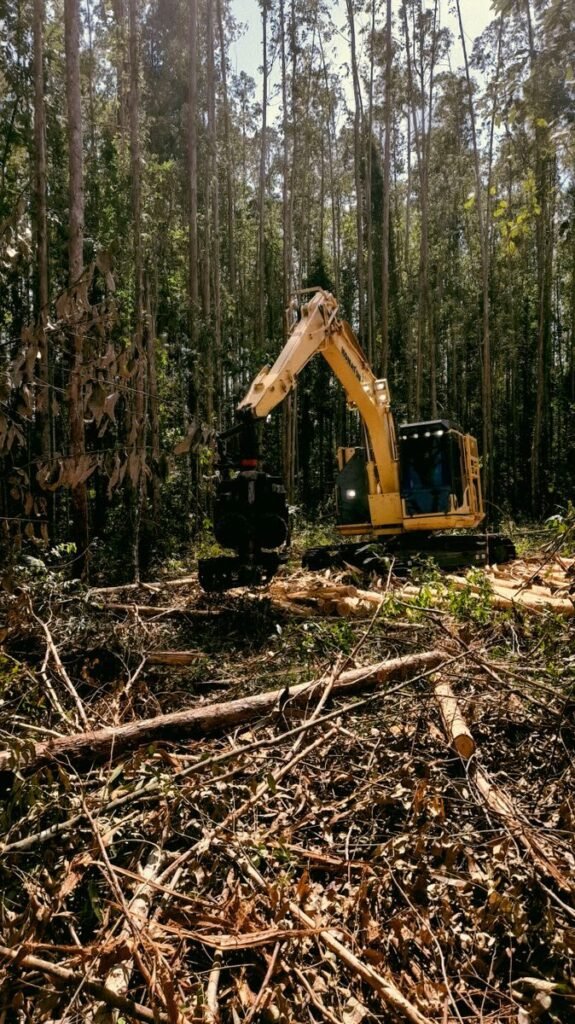 An excavator clearing trees in a dense forest