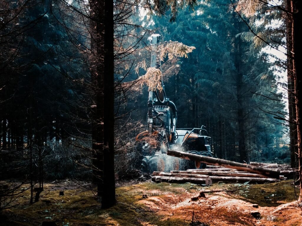 A forestry machine working among trees in a wooded area